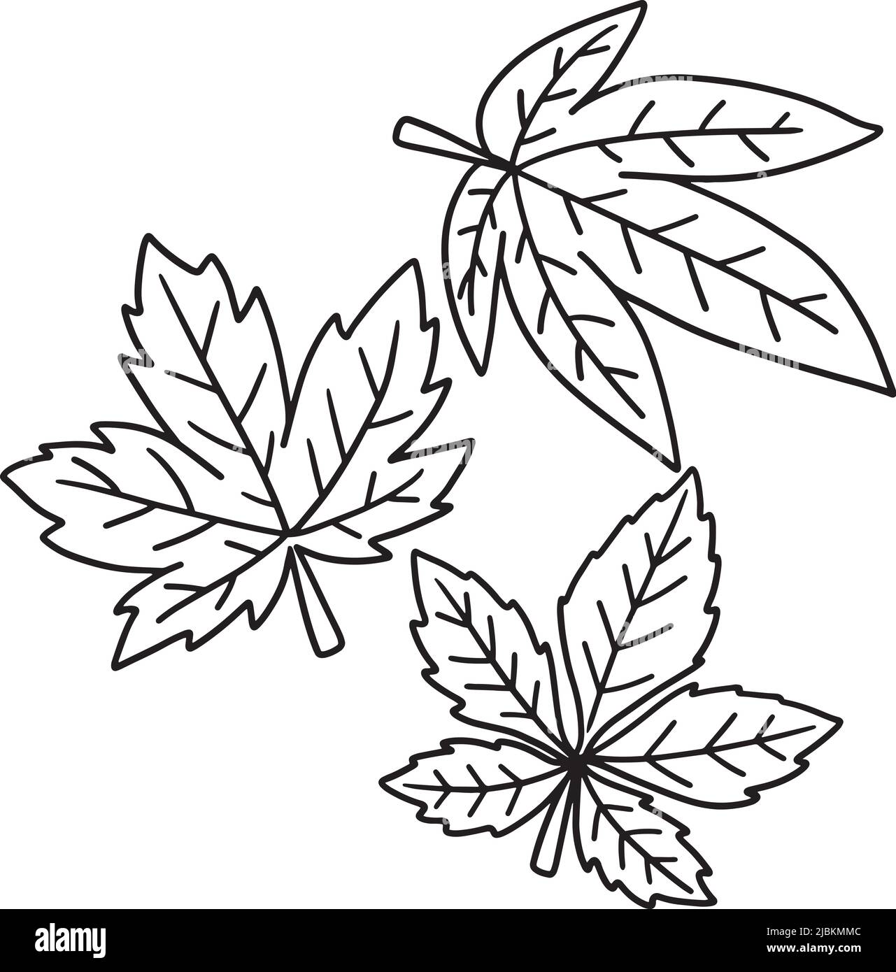 Thanksgiving feuilles d'automne page de coloriage isolée Illustration de Vecteur