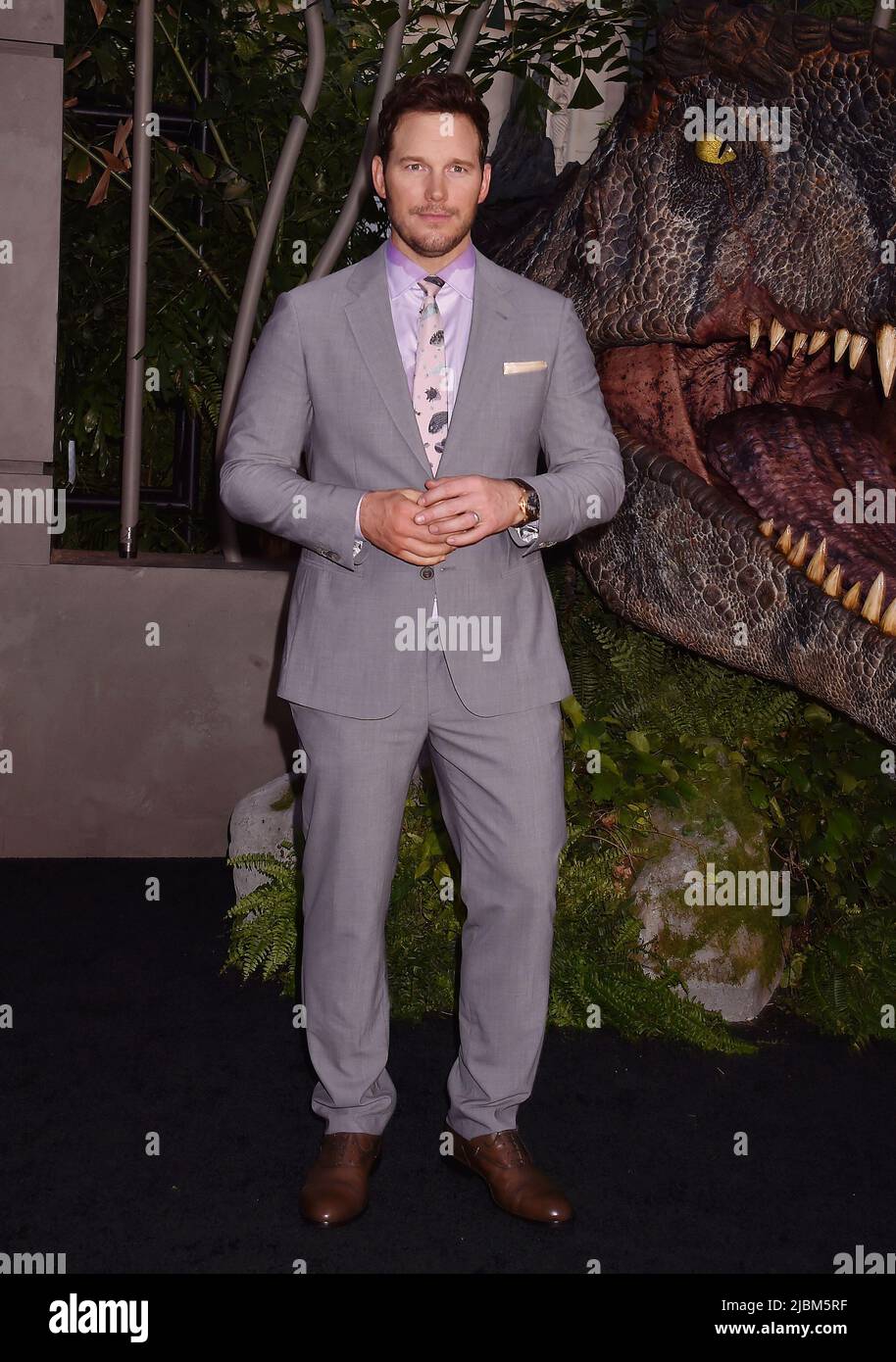 HOLLYWOOD, CA - JUIN 06 : Chris Pratt assiste à la première de Universal Pictures à Los Angeles, « Jurassic World Dominion », au TCL Chinese Theatre, sur J Banque D'Images