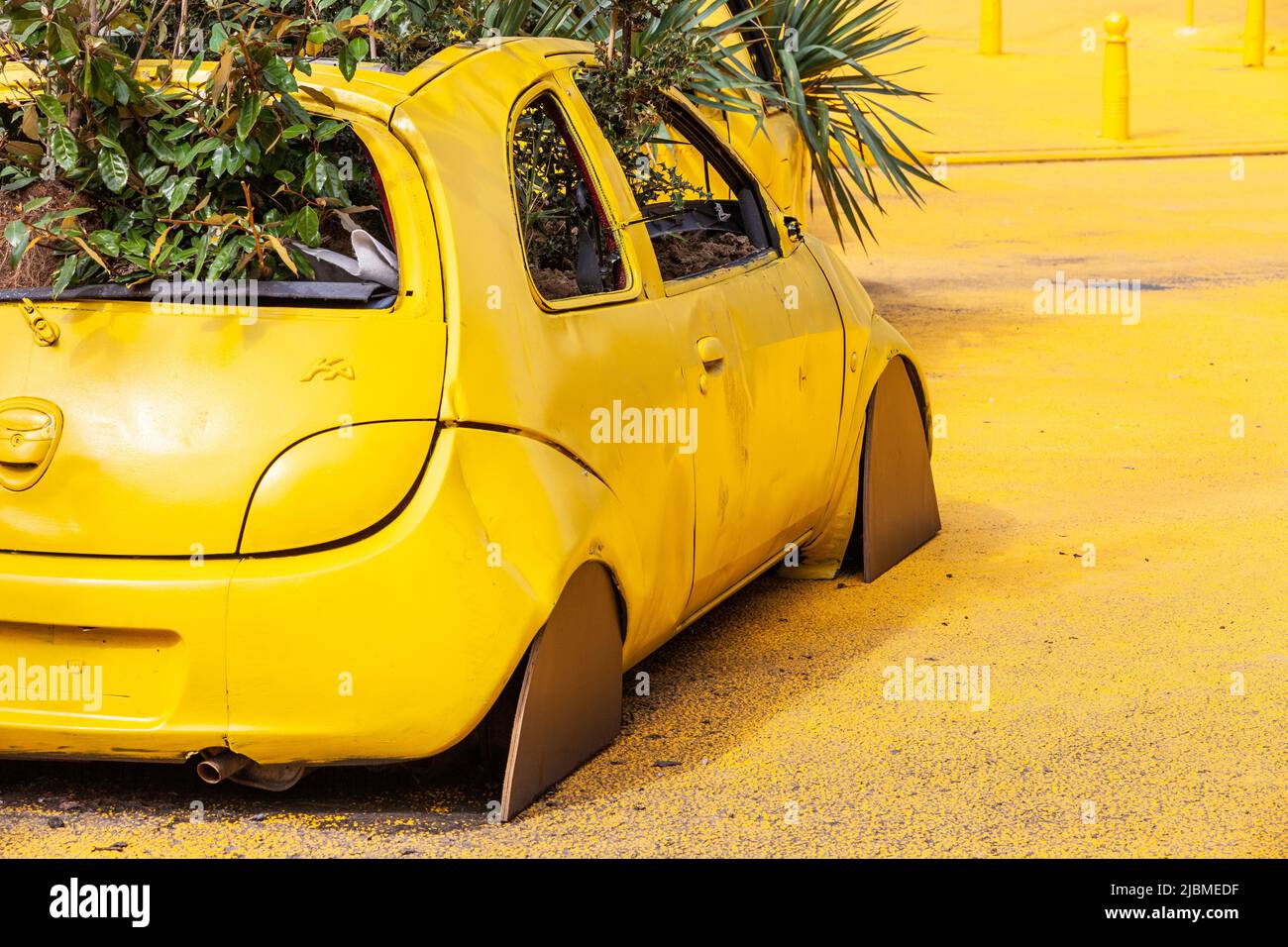 Voiture jaune, surcultivée avec des plantes, dans un environnement jaune. Bruxelles. Banque D'Images