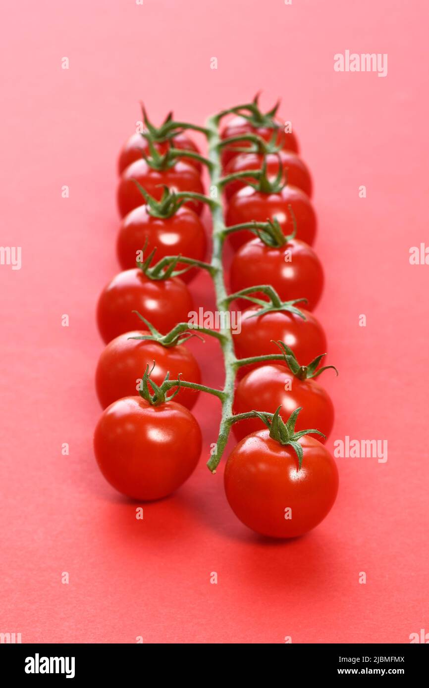 Supermarché tomates vigne sur fond rouge Banque D'Images