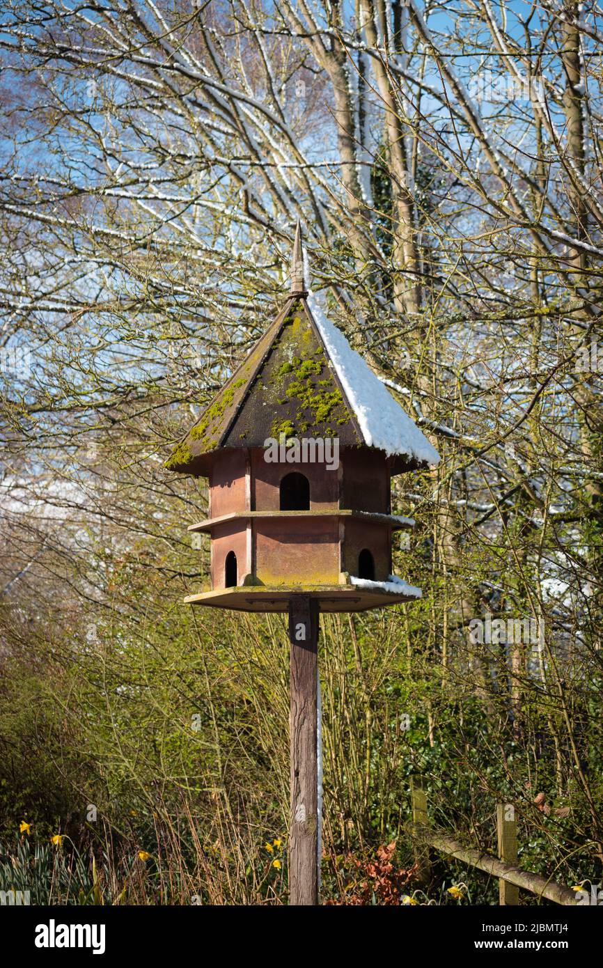 Cabane à oiseaux hexagonale en bois et mangeoire avec neige printanière au soleil éclatant Banque D'Images