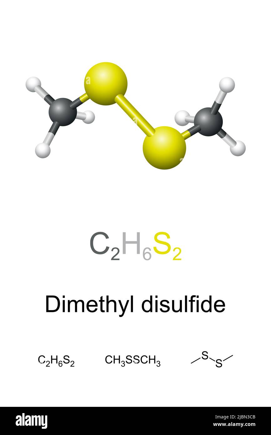 Disulfure de diméthyle, DMDS, formule chimique et modèle moléculaire. Composé organosulfuré au disulfure de méthyle avec odeur désagréable semblable à l'ail. Banque D'Images