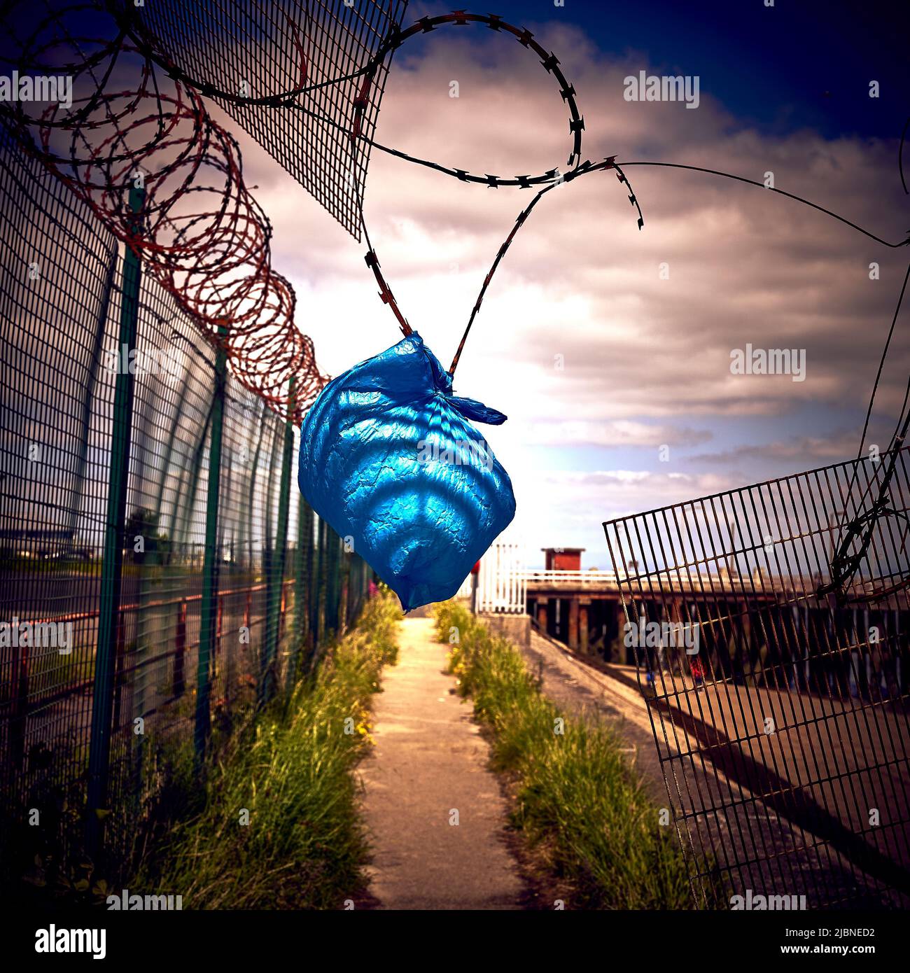 Sac en plastique bleu coincé sur le fil barbelé au-dessus du chemin à côté  de la clôture de sécurité Photo Stock - Alamy