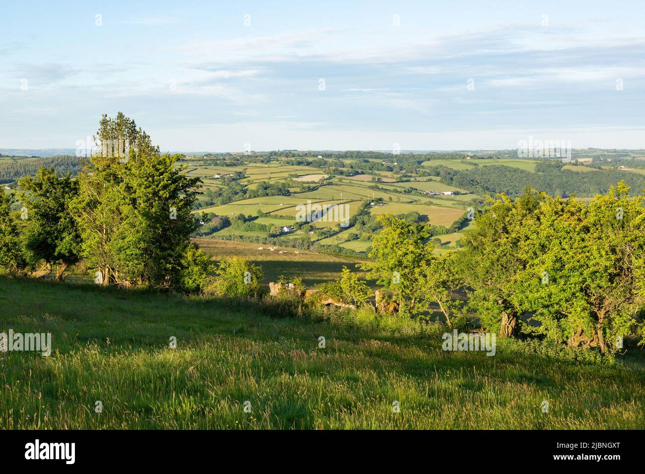 High Bickington, Devon, Angleterre, Royaume-Uni. Banque D'Images