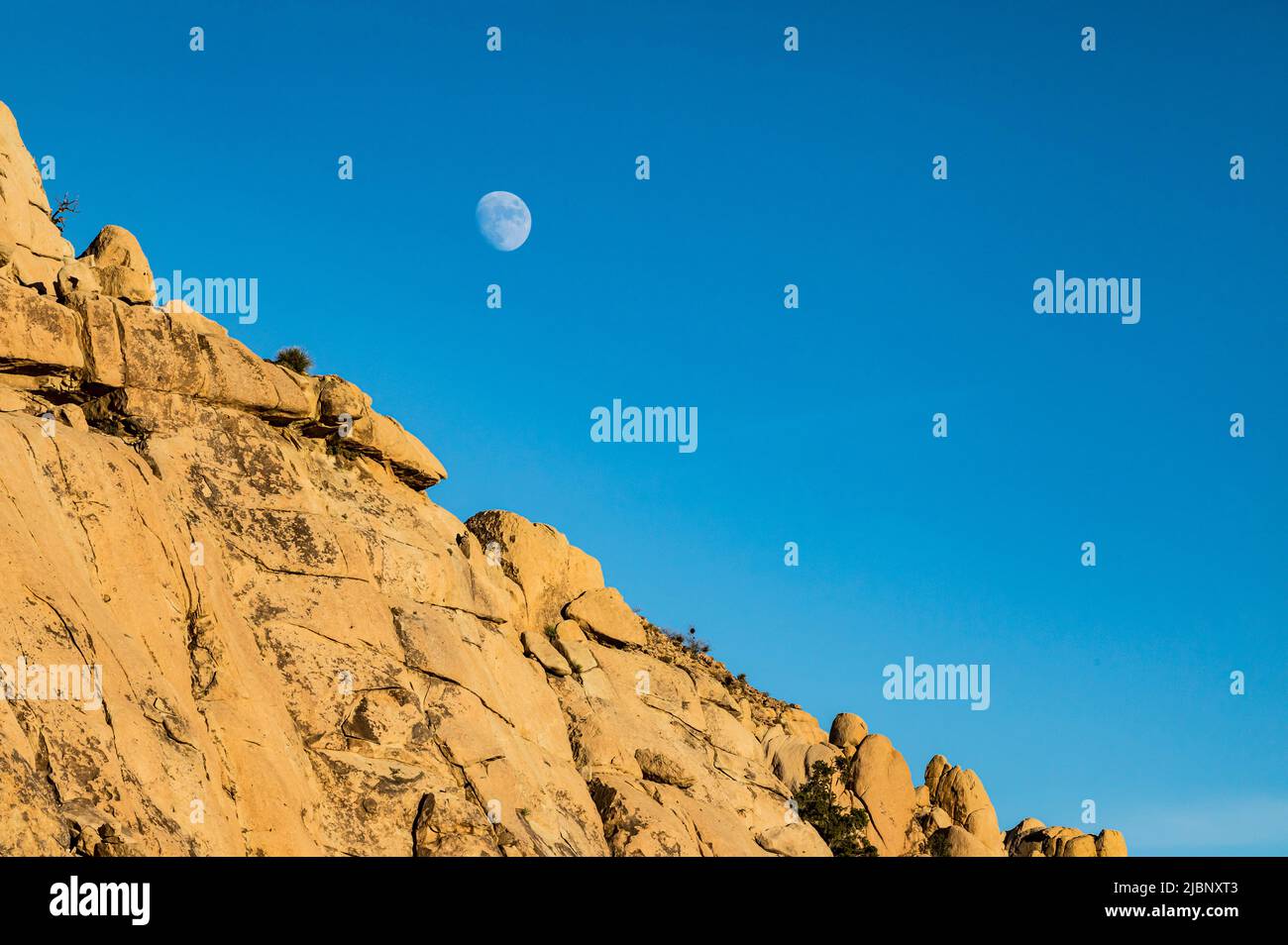 Une ligne de crête rocheuse près du coucher du soleil et de la lune dans un ciel bleu, Joshua Tree National Park. Banque D'Images