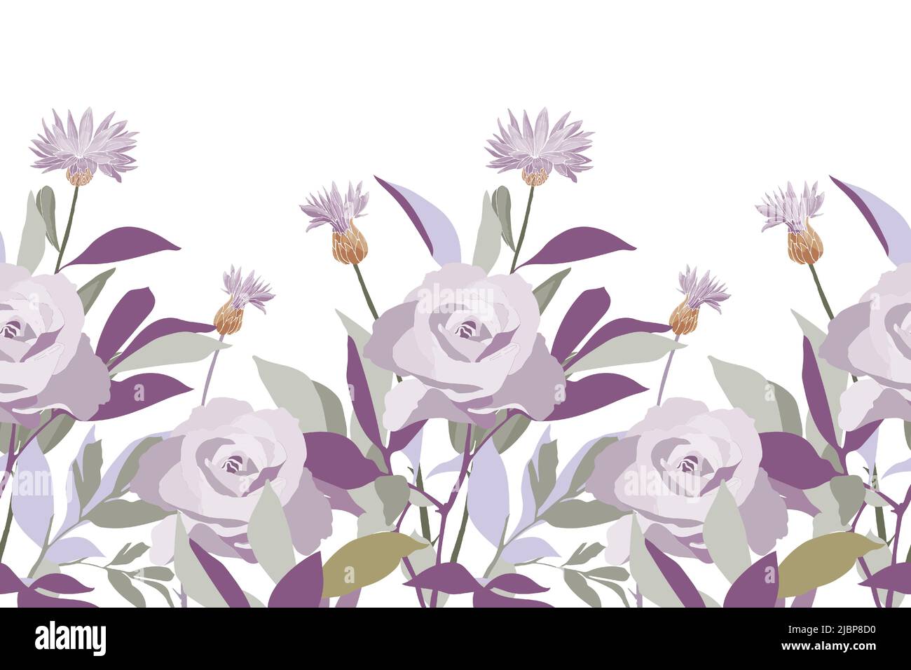 Motif fleuri vectoriel sans couture, bordure. Illustration panoramique horizontale avec roses et fleurs de maïs sur fond blanc. Illustration de Vecteur
