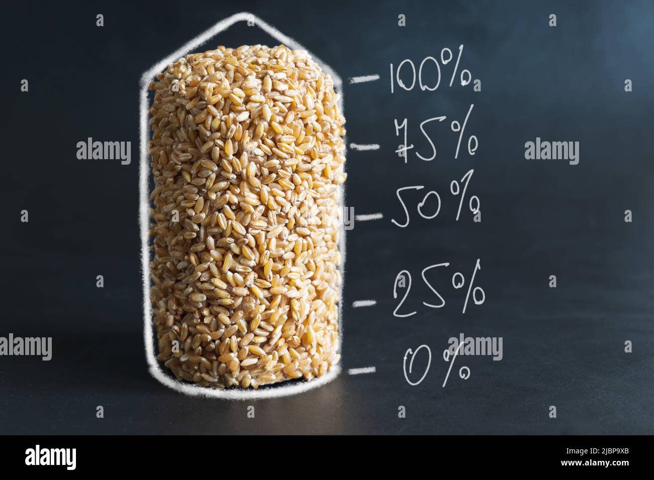 concept de conteneur de stockage de grain de blé en hauteur Banque D'Images