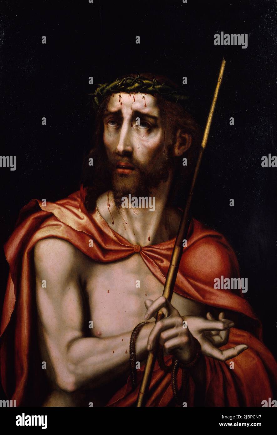 ECCE Homo de Luis de Morales (1509-1586). La peinture dépeint le moment où Pontius Pilate présente un Jésus battu et fouetté à la foule avec les mots Ecce Homo (voici l'homme). Jésus a la couronne d'épines sur sa tête et une robe rouge ou pourpre (pour simuler la revendication d'être roi des juifs). Cette version, cependant, montre juste un portrait du Jésus battu et humilié. Banque D'Images