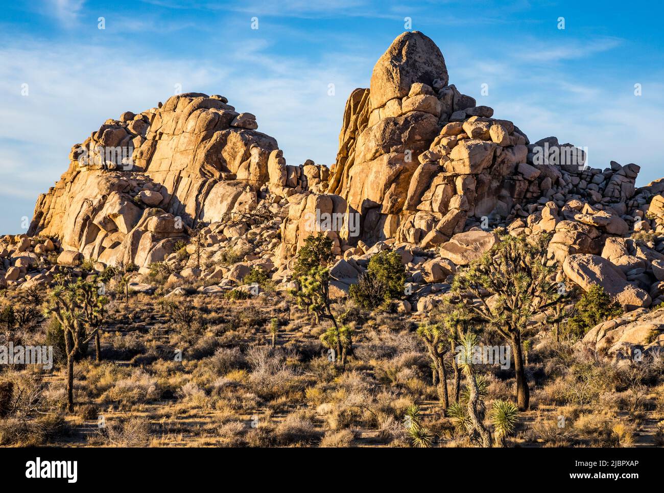 Formations rocheuses dans le parc national de Joshua Tree près du coucher du soleil. Banque D'Images