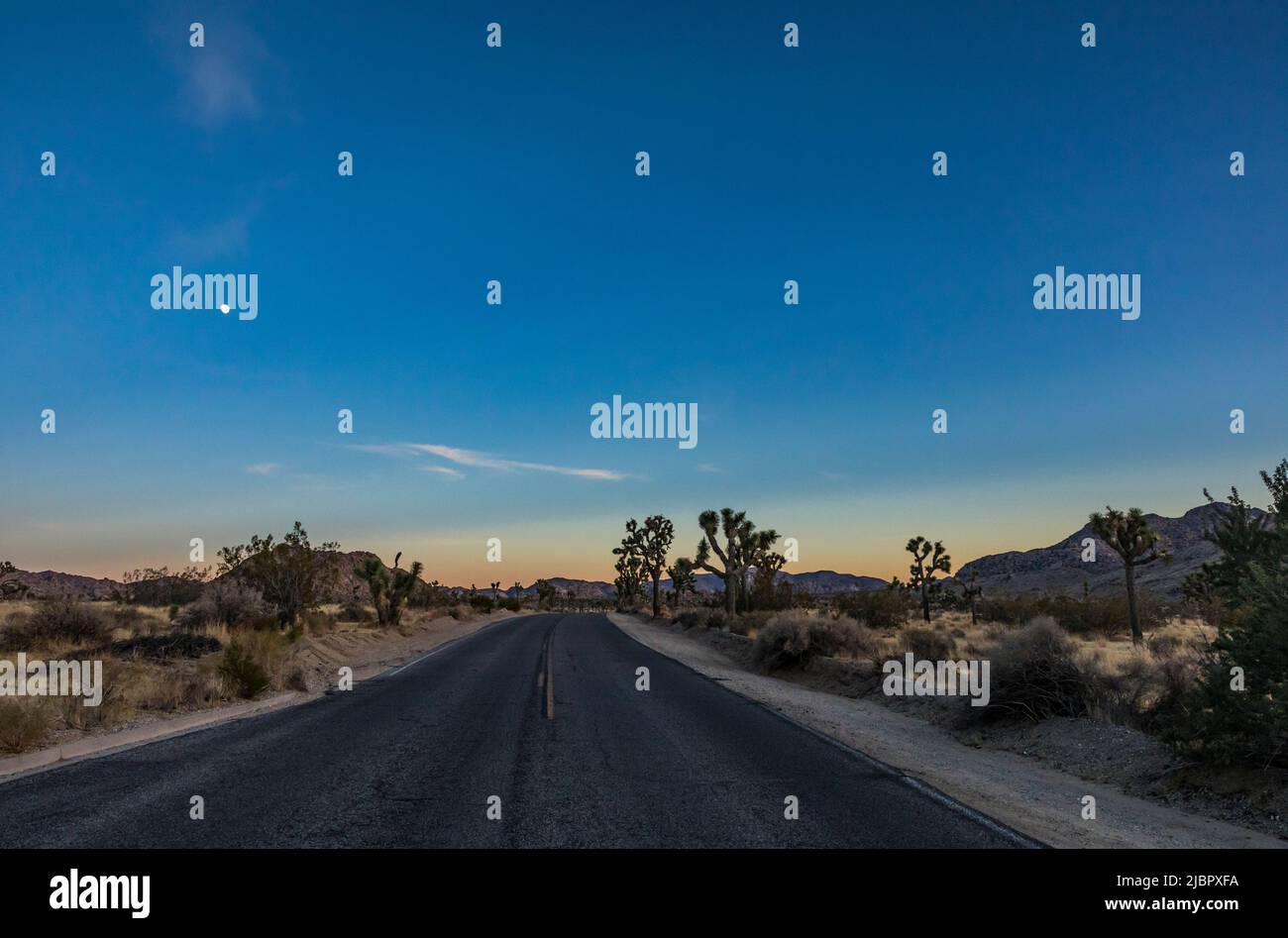 Parc national de Joshua Tree, incluant le parc Boluvard, Californie, États-Unis. Banque D'Images