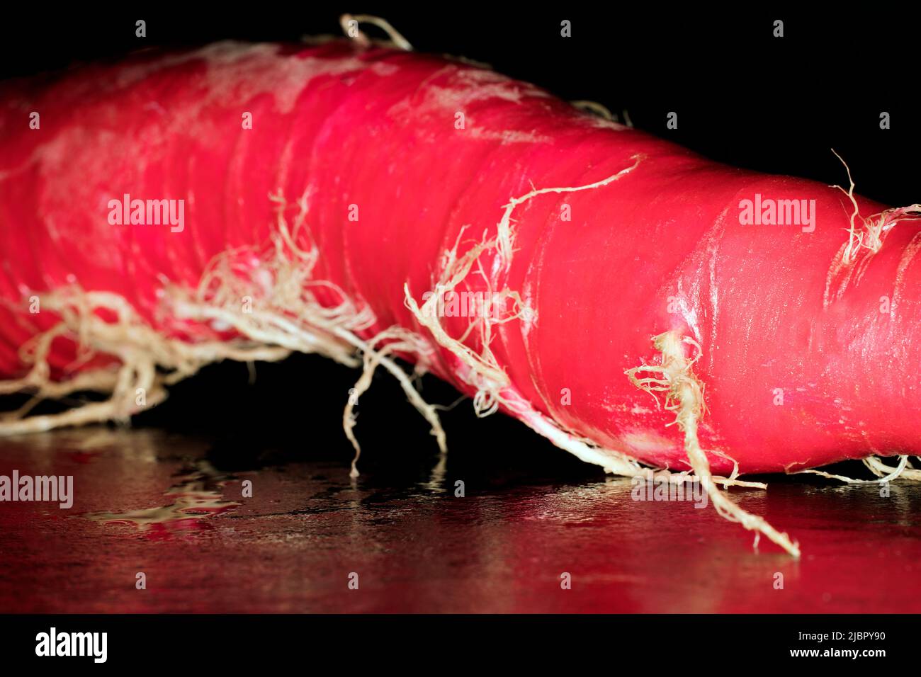 Radis rouge Banque D'Images