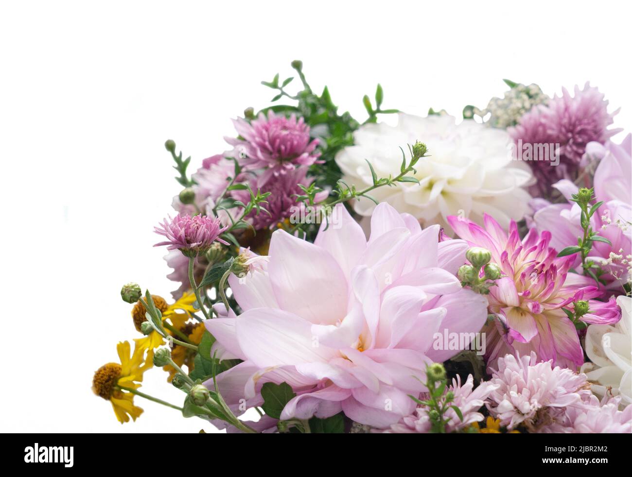 Fond de fleurs naturelles Banque D'Images Fond de fleurs naturelles Banque D'Images