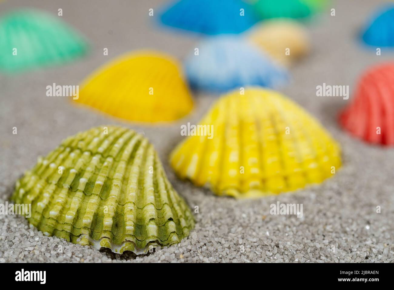 quelques coquillages colorés sur la plage Banque D'Images