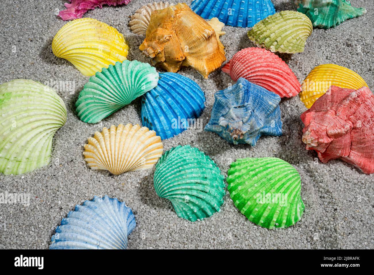quelques coquillages colorés sur la plage Banque D'Images