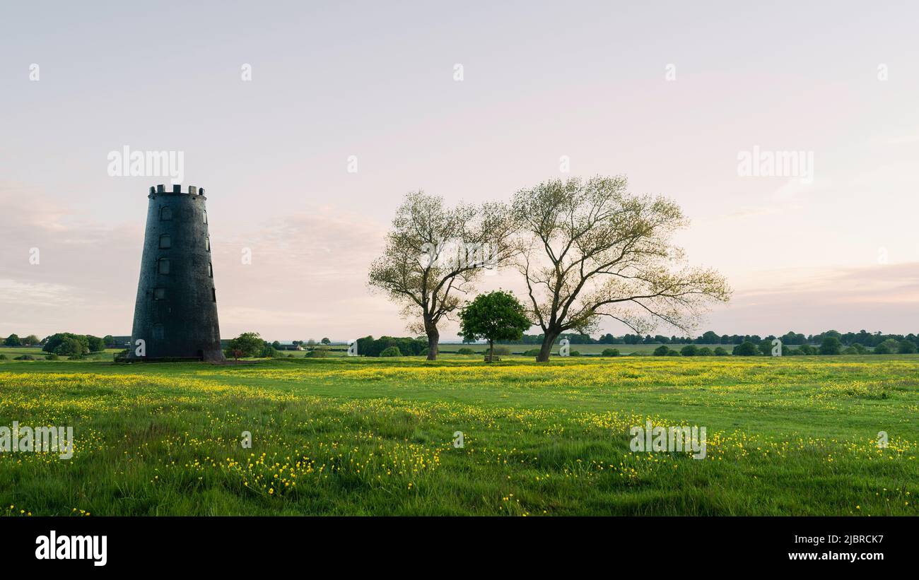 Parc boisé de Westwood flanqué de prairies et de butterbutterbutterbups sauvages fleuris et d'arbres sous un ciel clair lors d'une soirée d'été calme à Beverley, dans le Yorkshire, au Royaume-Uni. Banque D'Images