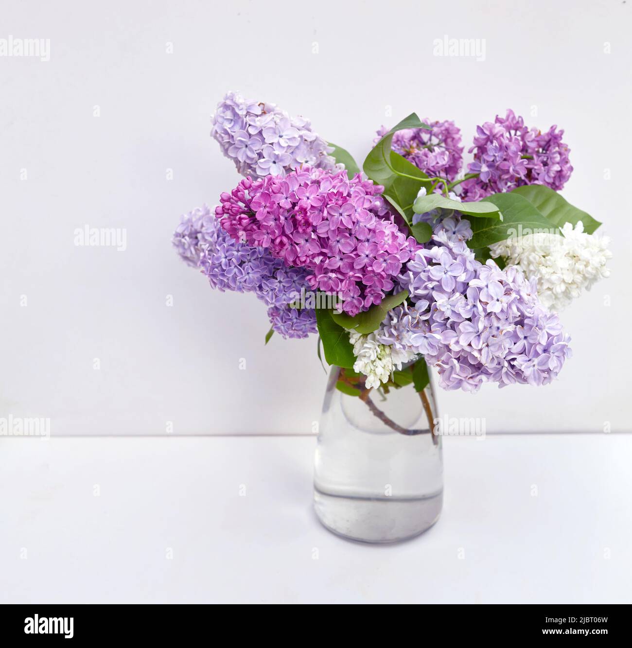 Bouquet de fleurs lilas dans vase en verre sur fond blanc Photo Stock -  Alamy