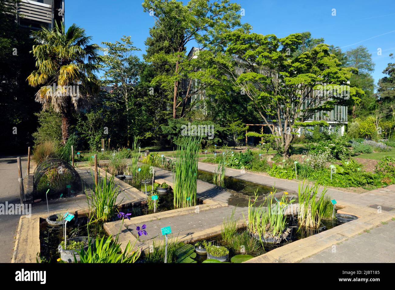 La France, Bas Rhin, Strasbourg, inscrite au Patrimoine Mondial de  l'UNESCO, rue Goethe, Jardin botanique de l'Université de Strasbourg Photo  Stock - Alamy