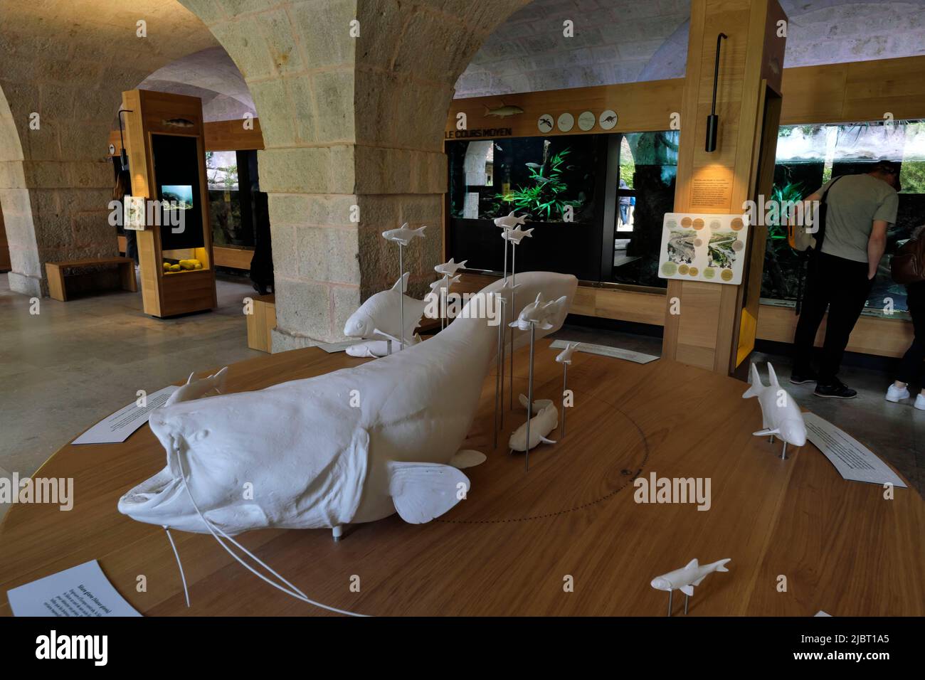 France, Doubs, Besançon, le Doubs, la citadelle classée au patrimoine mondial de l'UNESCO, musée, aquariums Banque D'Images