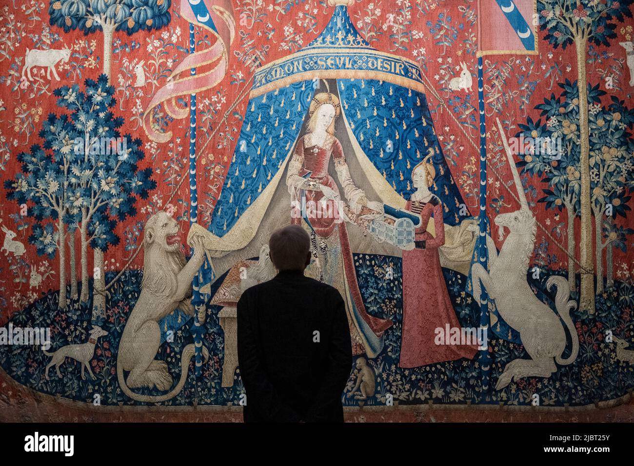 France, Paris, Musée Cluny - Musée national du Moyen-âge, tapisseries de la Dame et de la Licorne : mon seul désir Banque D'Images