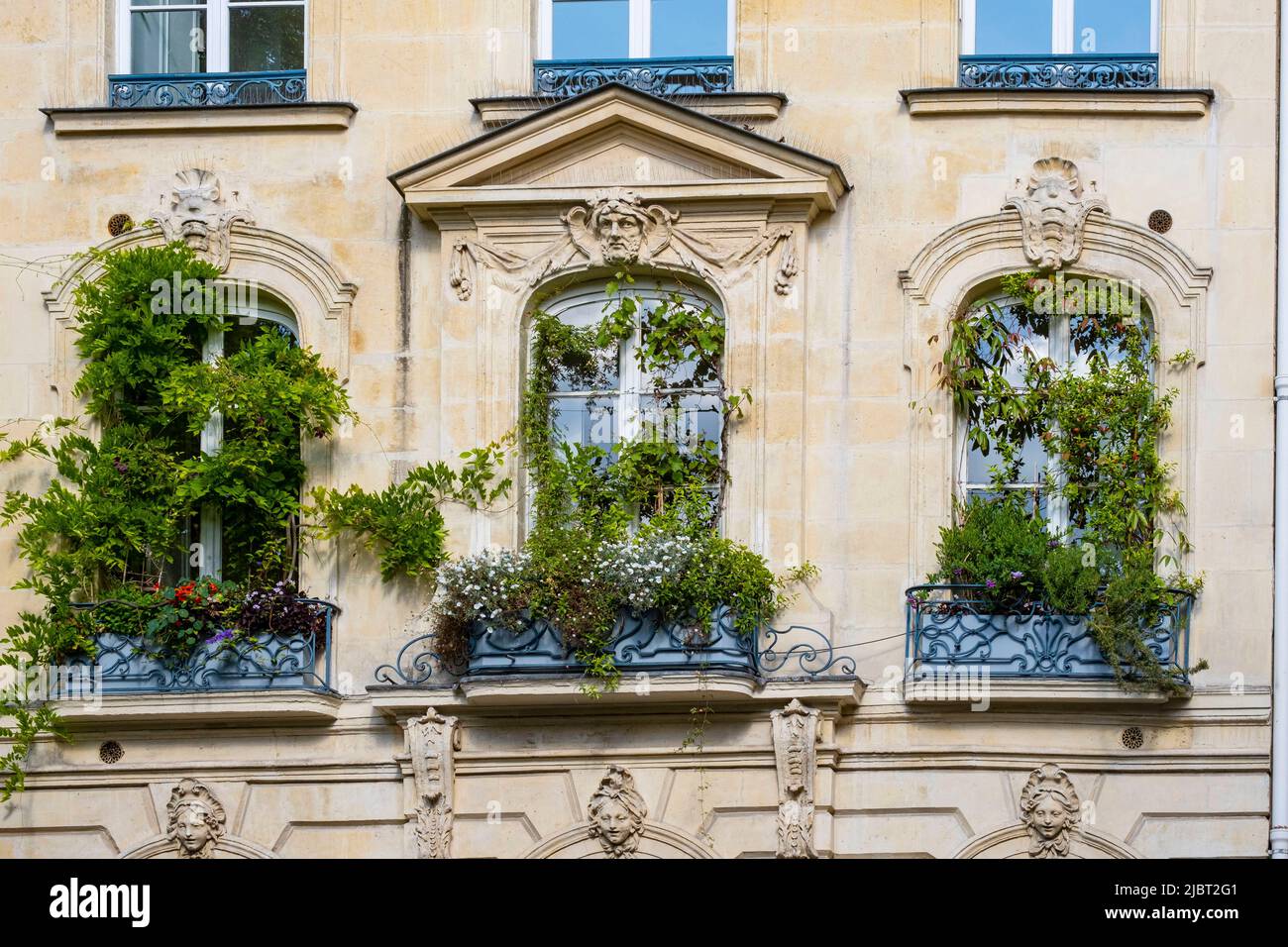France, Paris, végétation sur un bâtiment haussmannien Banque D'Images