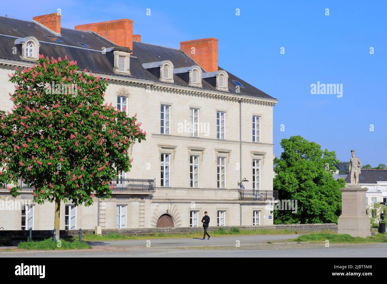 France, Loire Atlantique, Nantes, cours Saint-André bordé de maisons du 18th siècle, châtaignier rose en fleur et statue d'Olivier de Clisson Banque D'Images