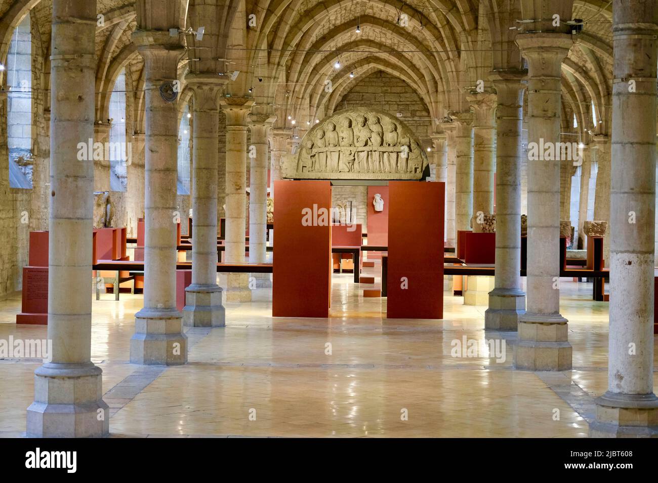 France, Côte d'Or, Dijon, région classée au patrimoine mondial de l'UNESCO, musée archéologique de l'ancienne abbaye Saint-Benigne de Dijon Banque D'Images