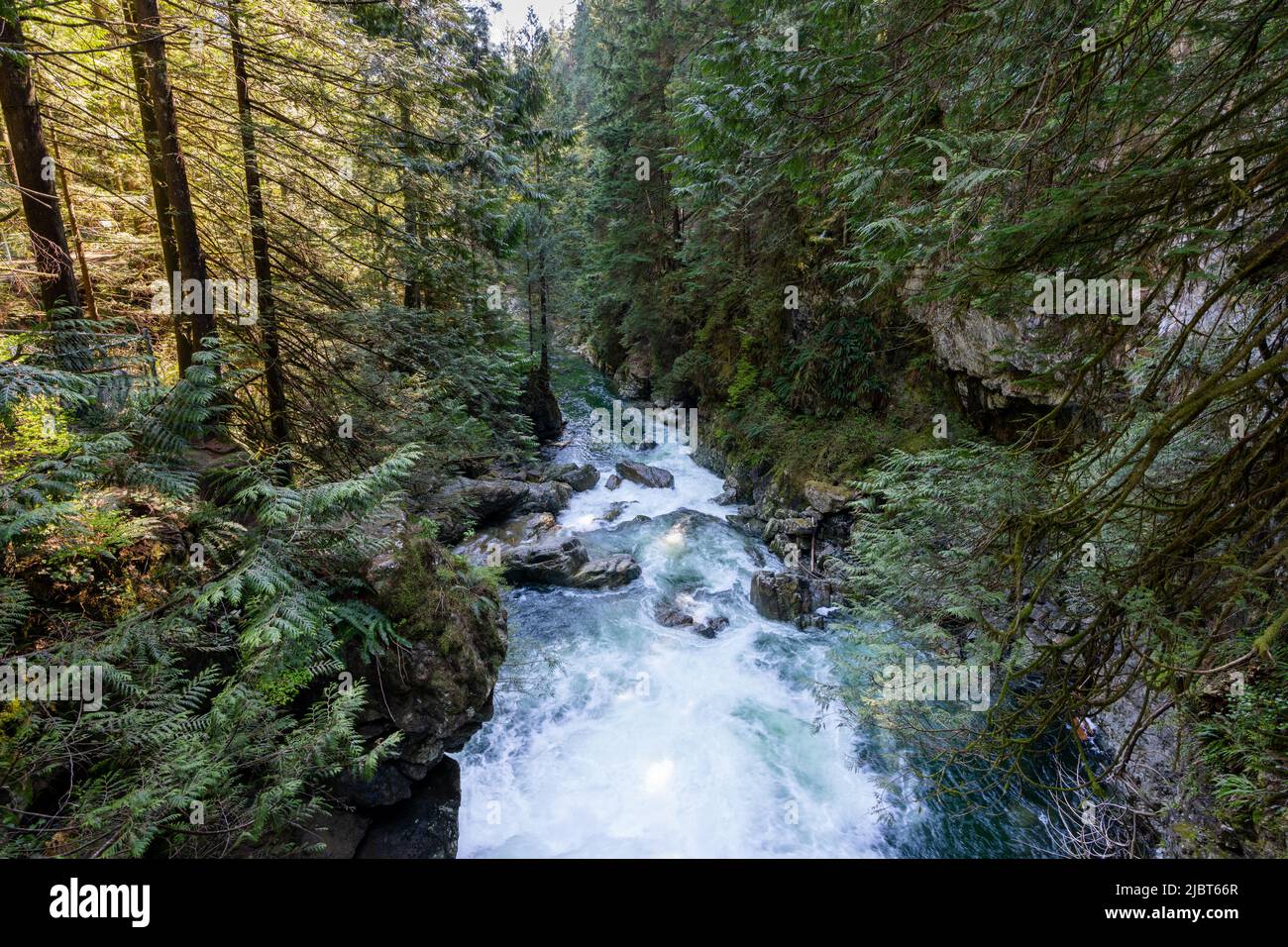 Lynn Canyon Park Twin Falls, North Vancouver (Colombie-Britannique), Canada. Banque D'Images