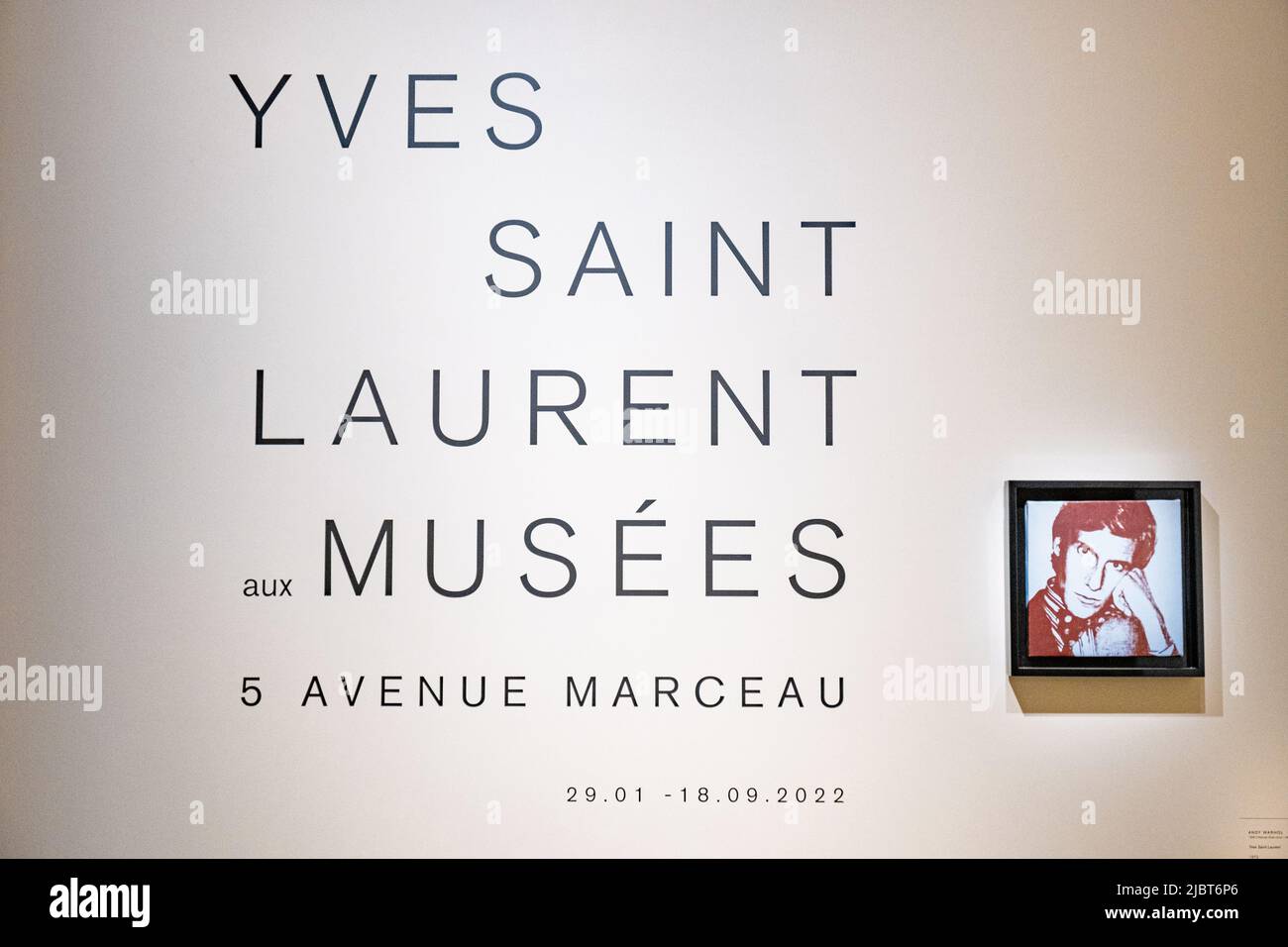 France, Paris, le Musée Yves Saint Laurent Banque D'Images