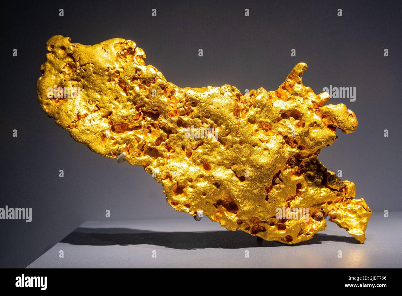 France, Paris, Musée d'Histoire naturelle, Galerie de géologie et de Minéralogie, pépite d'or indigène, 5024 g. Banque D'Images
