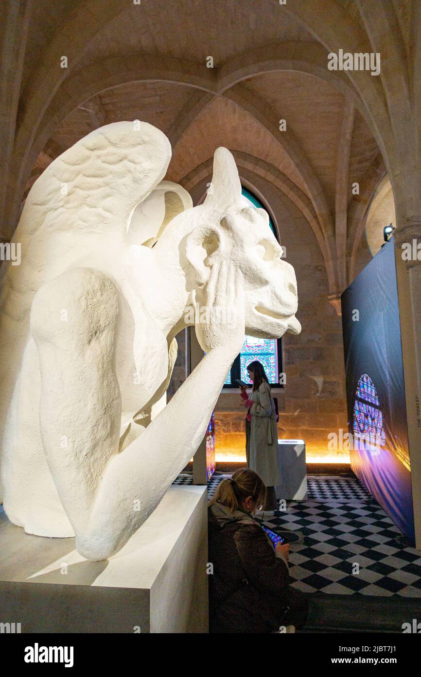 France, Paris, le Collège des Bernardins, l'exposition augmentée : notre Dame de Paris Banque D'Images