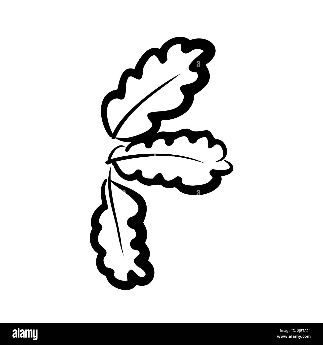 Branche de chêne. Illustration de branche décorative. Branche en chêne de contour. Illustration vectorielle, icône. Dessin noir et blanc, feuille de chêne dessinée à la main. Illustration de Vecteur