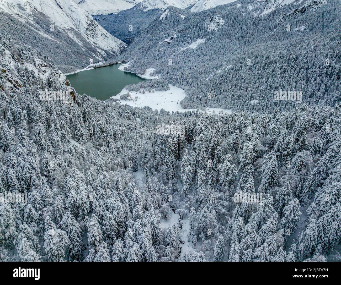 France, Pyrénées Atlantiques, sapins de neige et lac Bious Artigues (vue aérienne) Banque D'Images