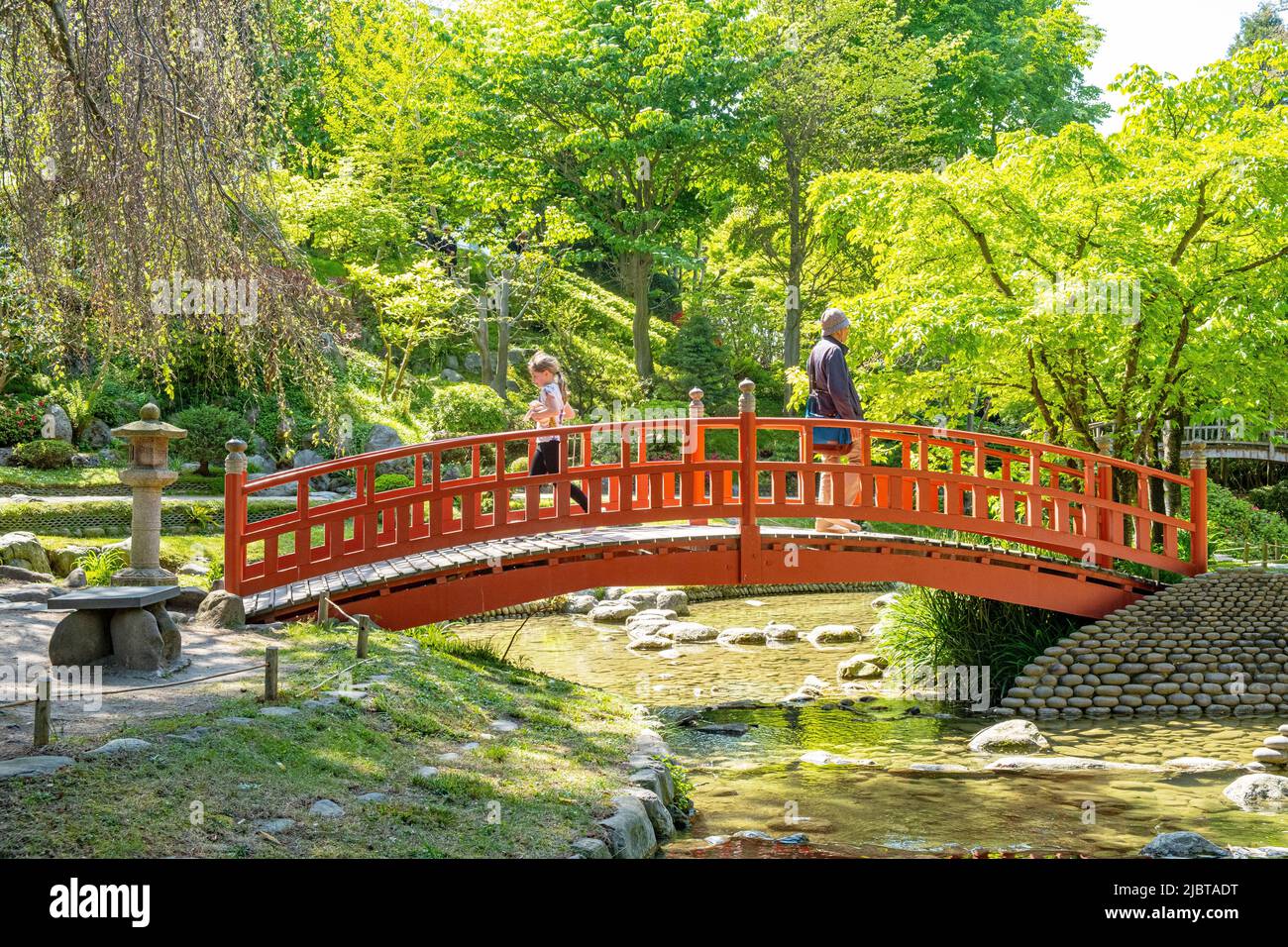 France, hauts de Seine, Boulogne Billancourt, jardin et musée Albert Kahn, le jardin japonais contemporain Banque D'Images