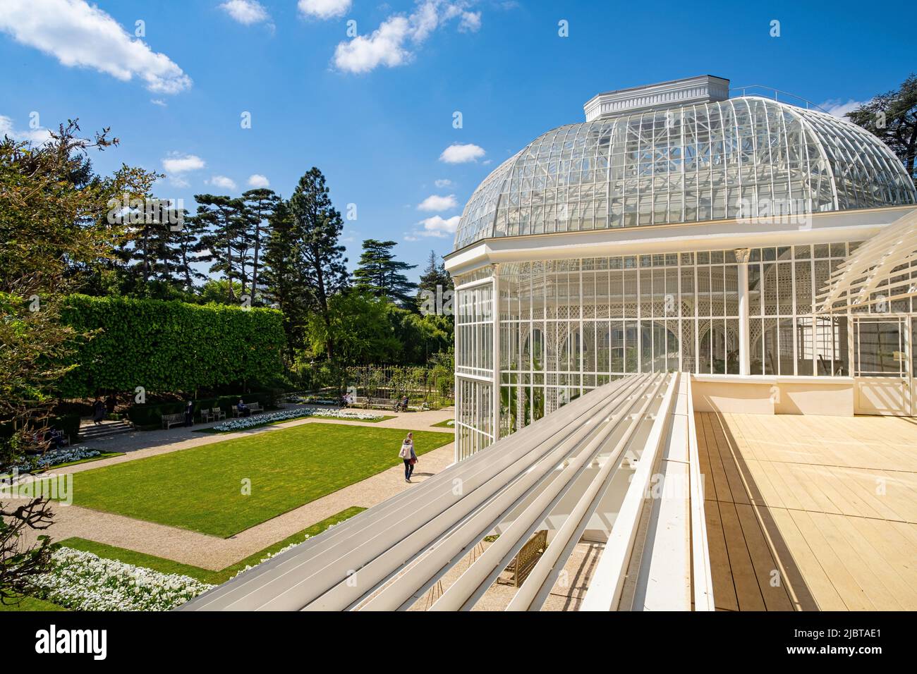 France, hauts de Seine, Boulogne Billancourt, jardin et musée Albert Kahn, jardin français et serre tropicale Banque D'Images