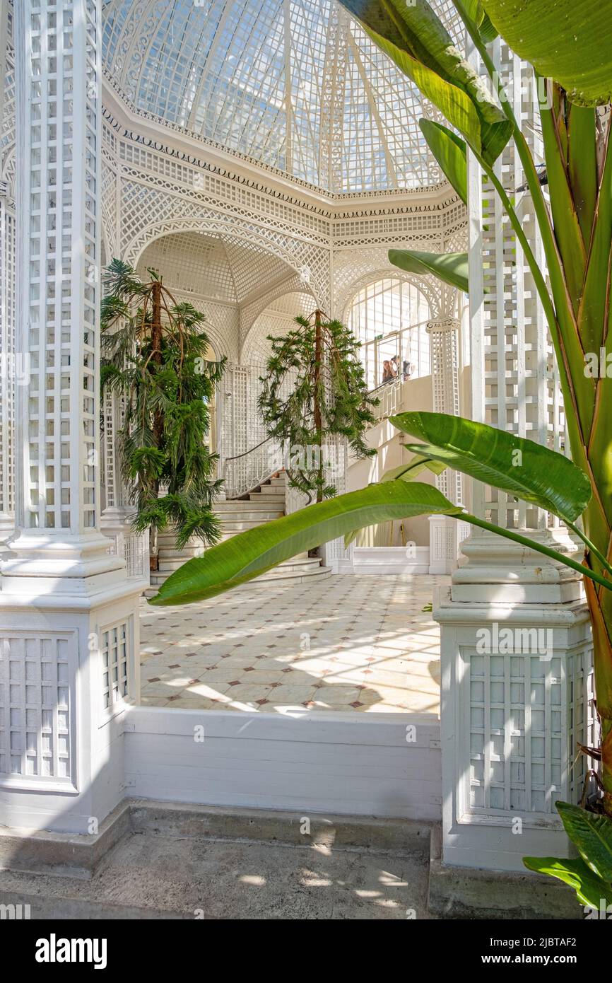 France, hauts de Seine, Boulogne Billancourt, jardin et musée Albert Kahn, jardin français, serre tropicale Banque D'Images
