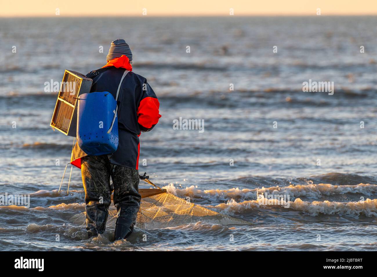 France, somme, Ault, deux heures avant la marée basse, les pêcheurs viennent avec leur filet pour pêcher les crevettes (crangon crangon) en poussant ce filet devant eux et en marchant le long du front de mer Banque D'Images