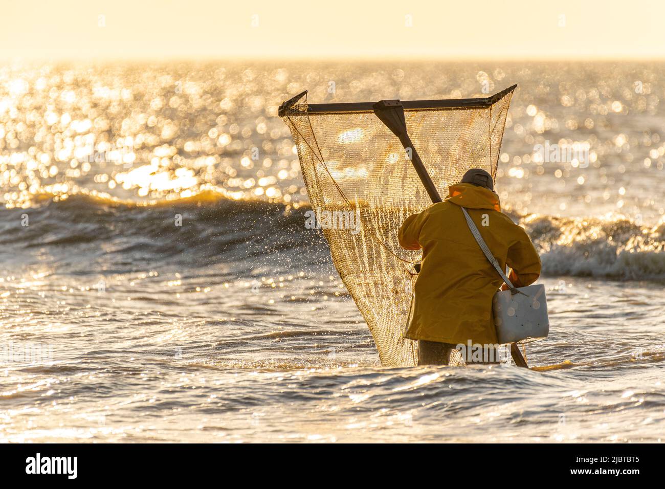 France, somme, Ault, deux heures avant la marée basse, les pêcheurs viennent avec leur filet pour pêcher les crevettes (crangon crangon) en poussant ce filet devant eux et en marchant le long du front de mer Banque D'Images