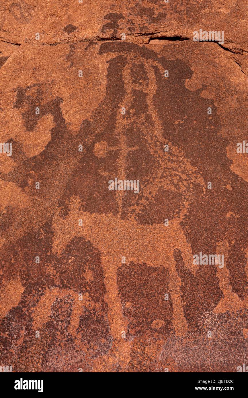 Namibie, région de Kunene, Damaraland, Khorixas, Twyfelfontein, Site d'environ 3 000 pétroglyphes datant de l'âge de pierre, classé au patrimoine mondial par l'UNESCO, le site a été habité depuis au moins 6 000 ans d'abord par les chasseurs-cueilleurs et plus tard par les éleveurs, les Khoikhoi ou San, c'est l'une des plus grandes concentrations d'art rupestre en Afrique Banque D'Images