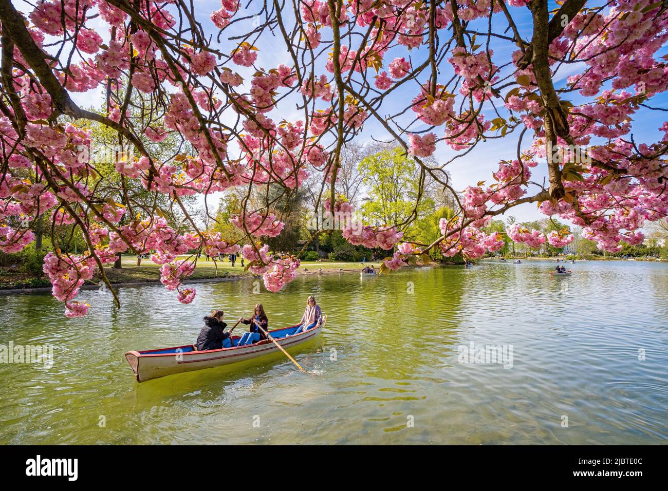 France, Paris, Bois de Vincennes, Lac Daumesnil et cerisiers en fleurs Banque D'Images