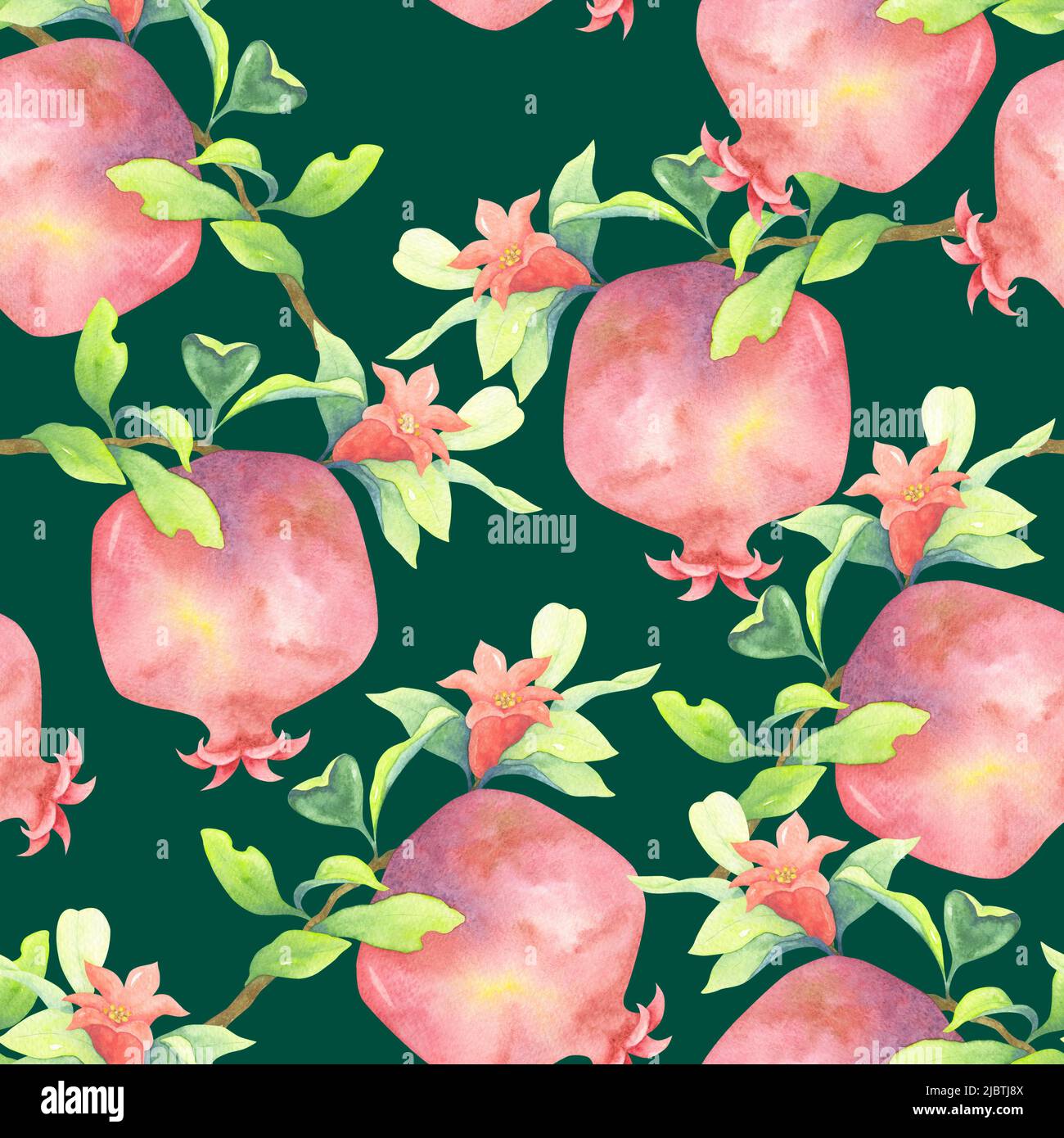 Grenades mûres avec fleurs rouges et feuilles brillantes. Illustration d'aquarelle botanique. Fruits sur les branches. Motif sans couture sur fond sombre. Banque D'Images
