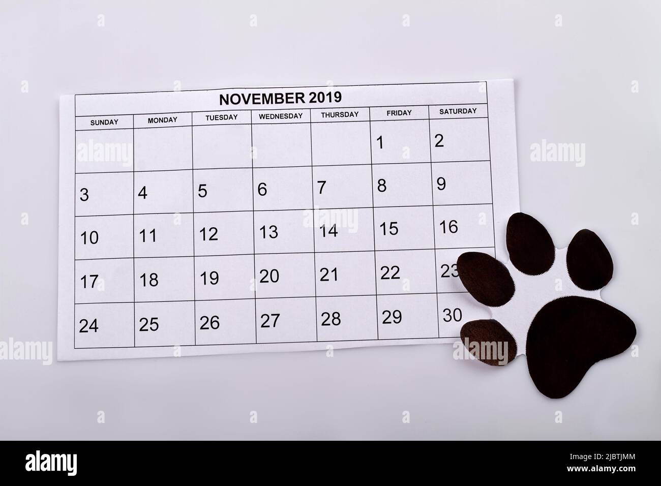 Concept de journée internationale pour les animaux de compagnie. Calendrier de novembre sur fond blanc. Marque de patte de chien. Banque D'Images