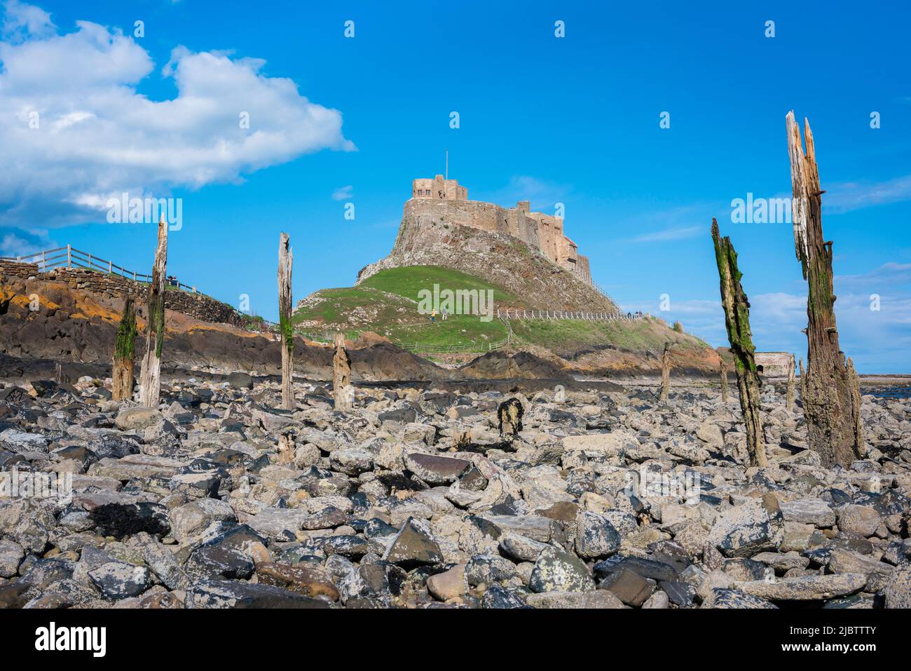 Château de l'île Sainte, vue sur le château de Lindisfarne sur l'île Sainte avec les restes érodés de poteaux de jetée en bois situés sur l'estran, Northumberland, Royaume-Uni Banque D'Images