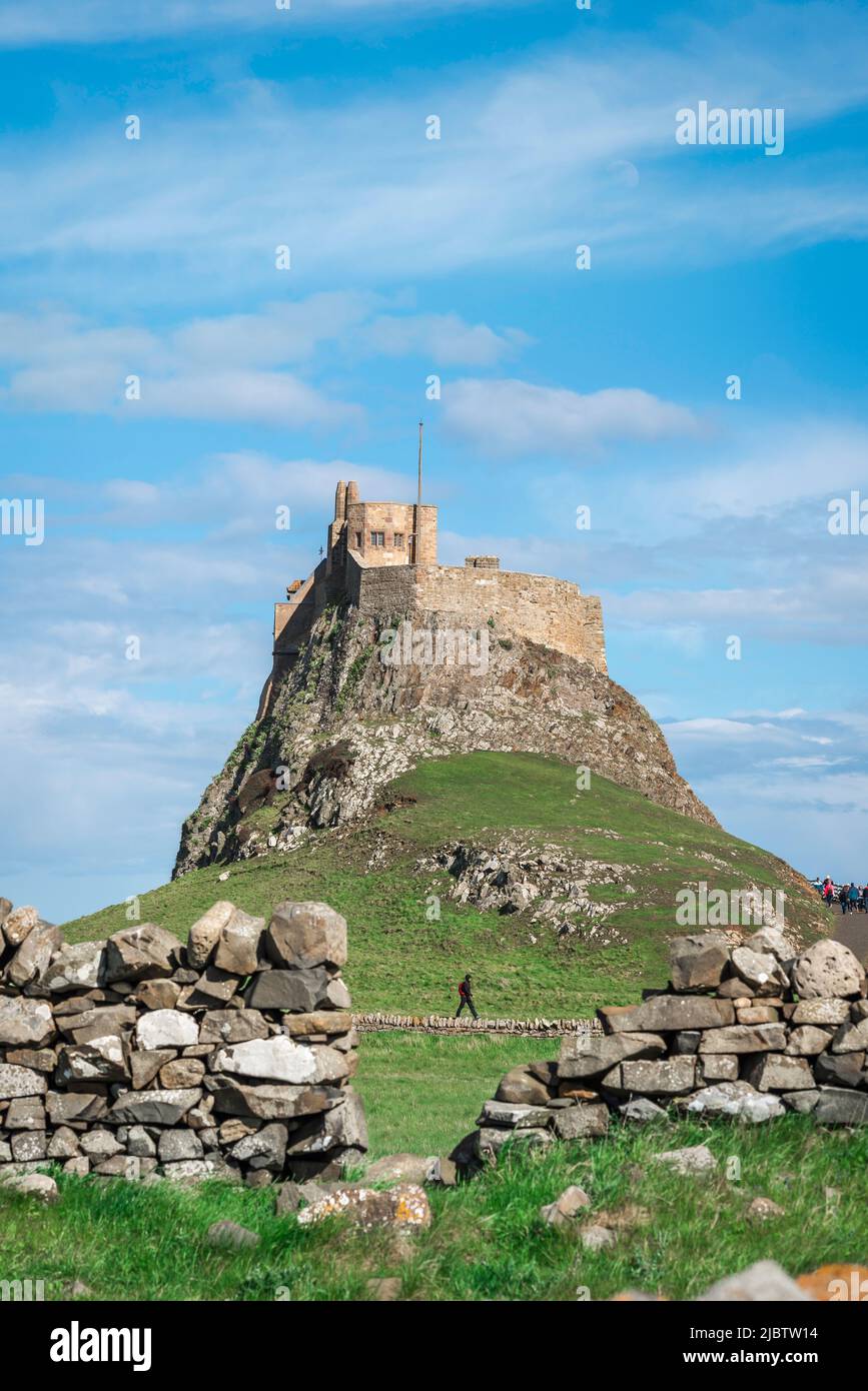 À pied seul, vue en été d'un homme de randonnée solo sur l'île Sainte avec le château de Lindisfarne en arrière-plan, côte de Northumberland, Angleterre, Royaume-Uni Banque D'Images