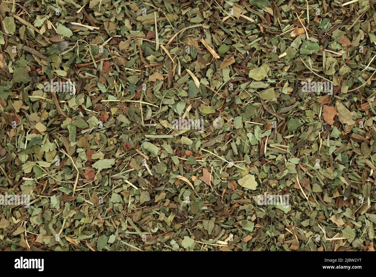 Fond de feuilles d'herbes Lungwort. Phytothérapie pour traiter les maladies pulmonaires, les conditions respiratoires. Remède pour l'estomac, l'intestin, les reins, les infections. Banque D'Images