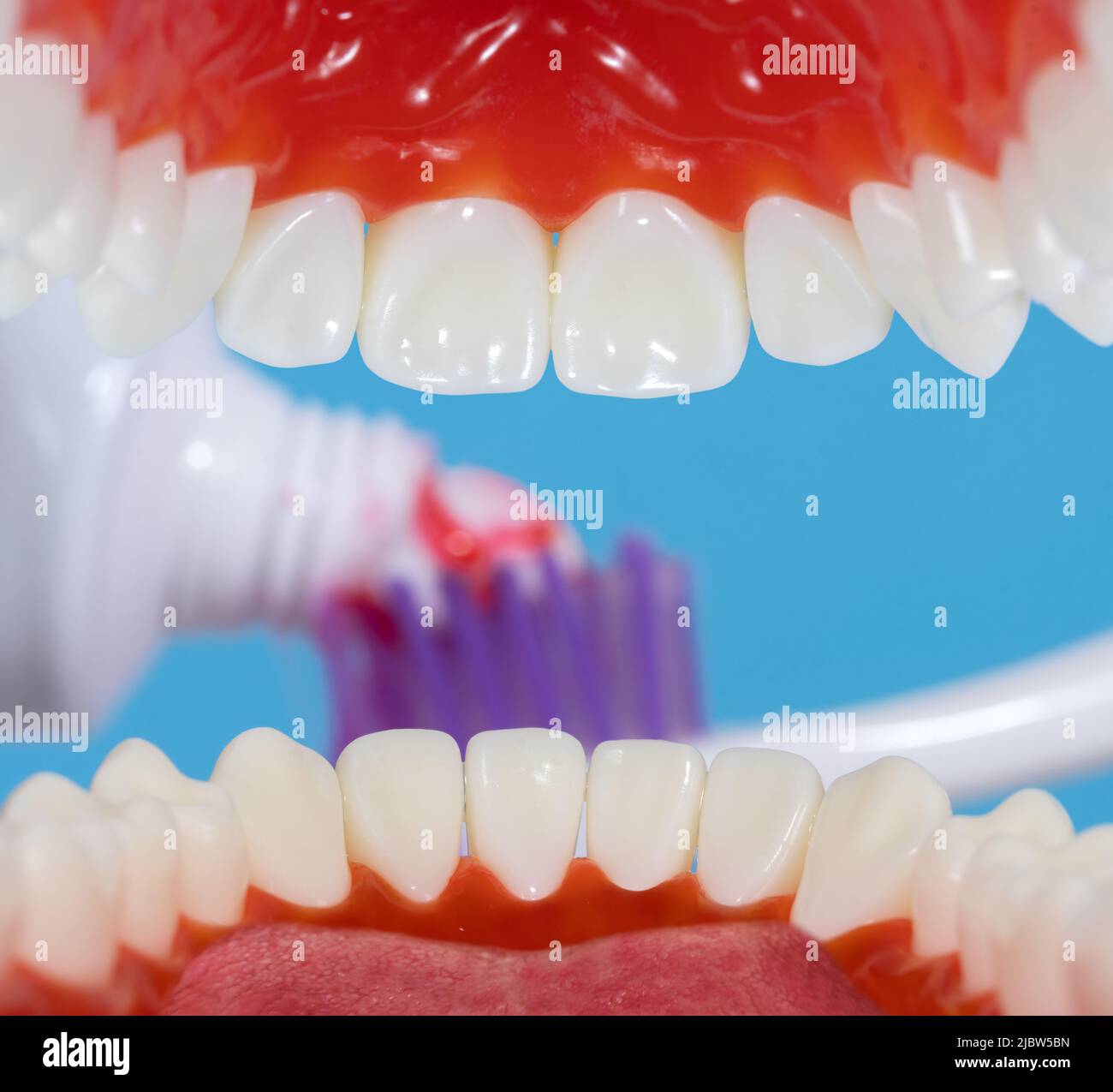 Une vue à travers la bouche sur un dentifrice avec brosse à dents Banque D'Images