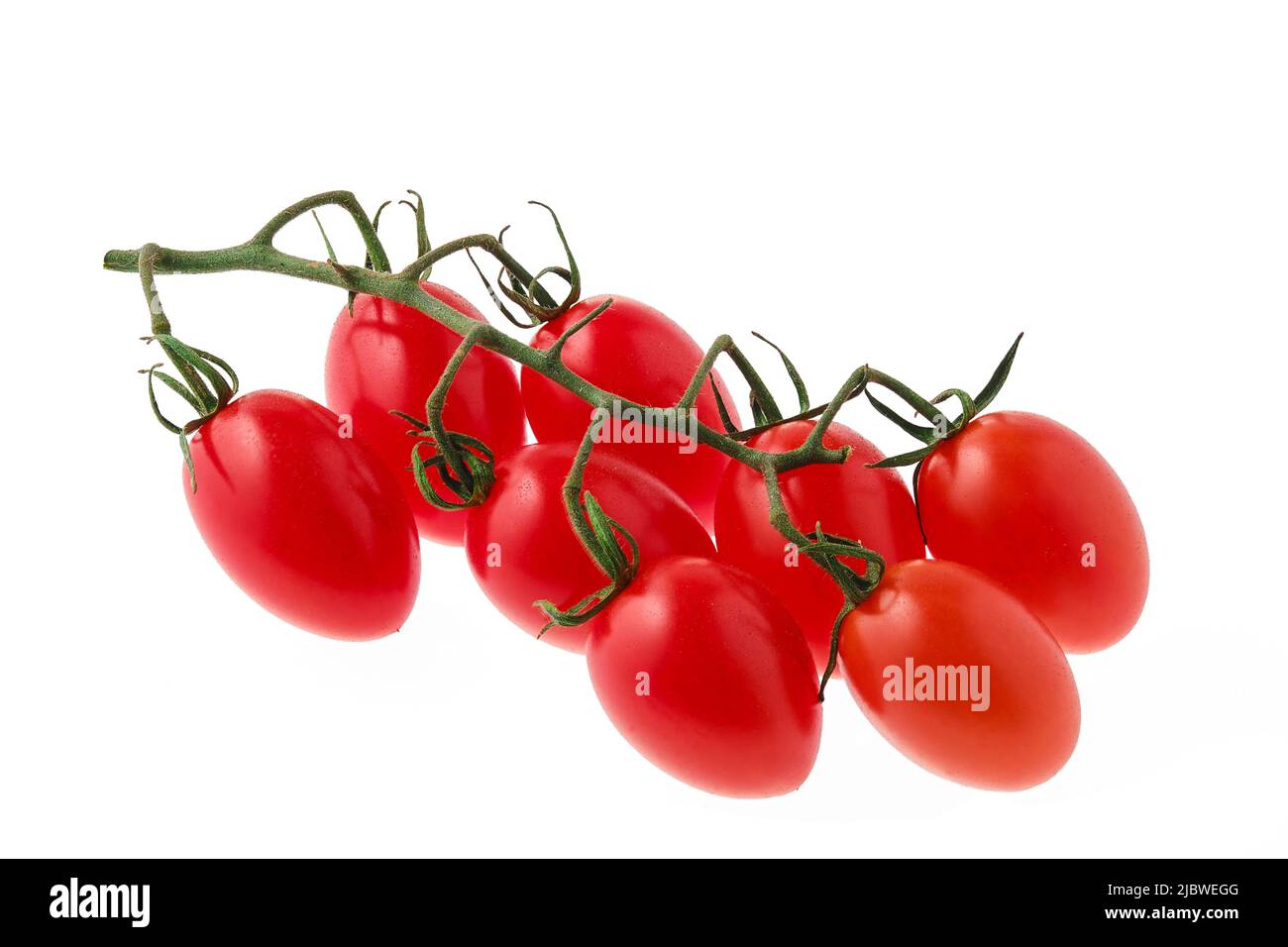 Tomates cerises sur une branche isolée sur blanc (photo avec pleine profondeur de champ) Banque D'Images