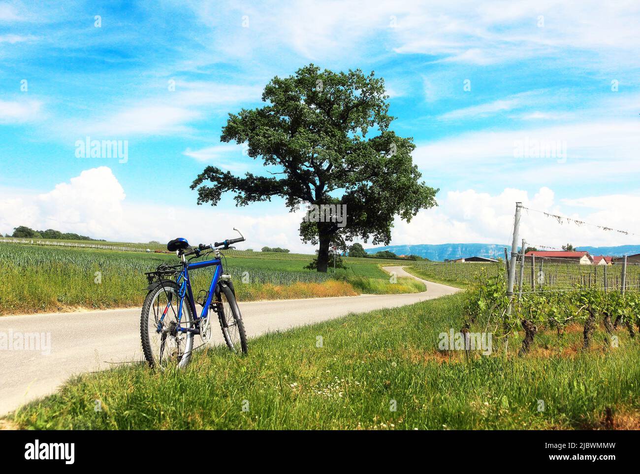 Vélo de montagne sur une route de campagne sur fond d'un paysage rural pittoresque dans la région de Genève, en Suisse. Banque D'Images