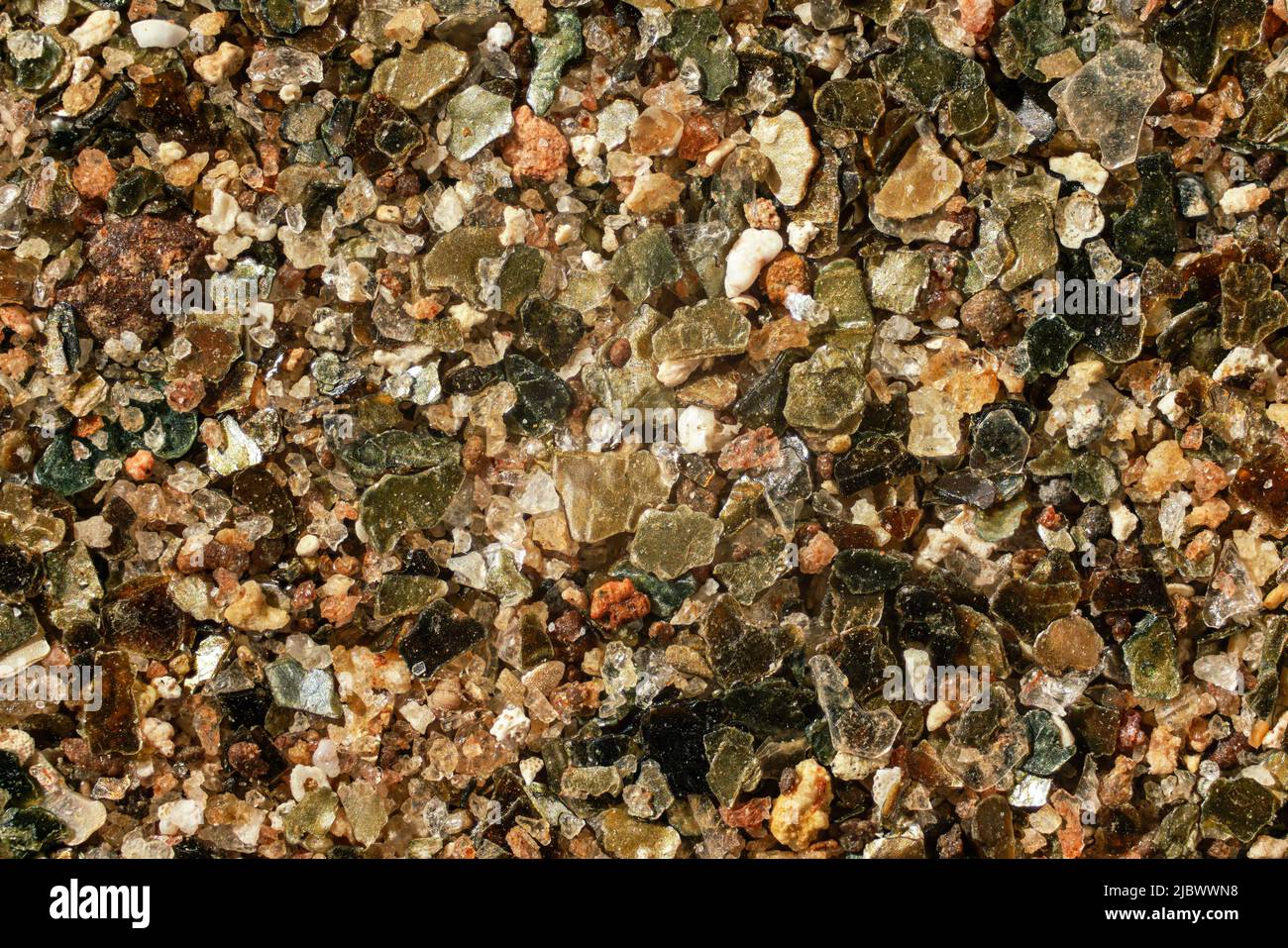 Sable de mer (plage de Malindi, Kenya) avec des particules dorées peu de coquillages d'océan restent visibles. 4x agrandissement de la photo du microscope, largeur de l'image = 9mm Banque D'Images