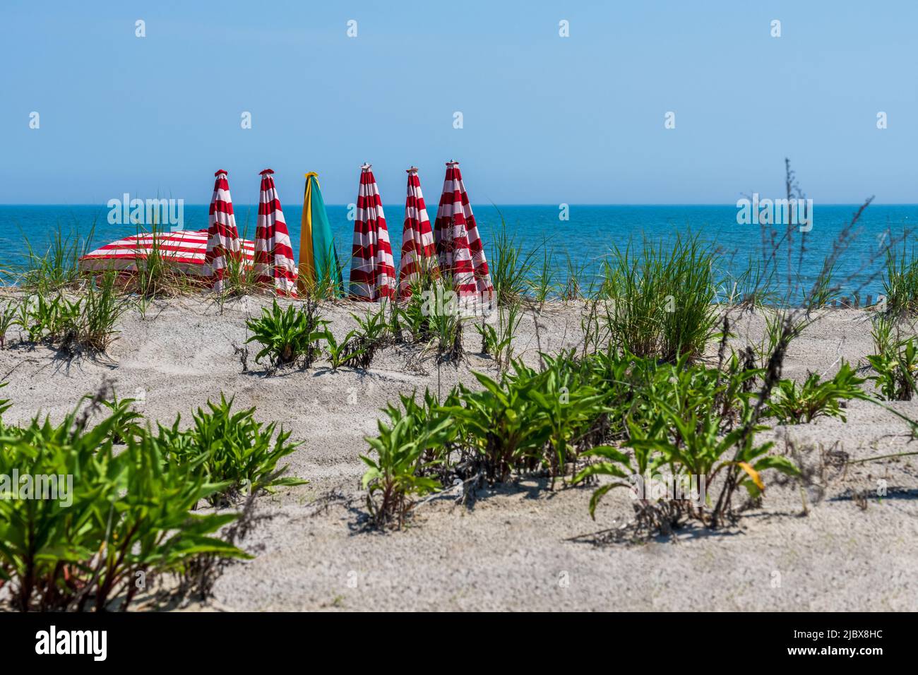 vue sur la dune de plage à l'eau et parasols à rayures rouges et blanches à louer Banque D'Images