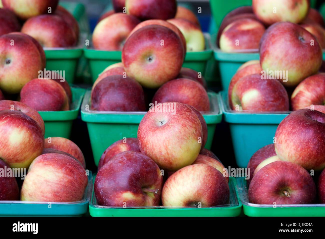 Paniers de pommes fraîches cueillies sur une table à un marché Banque D'Images